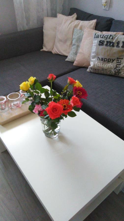 Apartment Oswiecim Klimatyzowany *